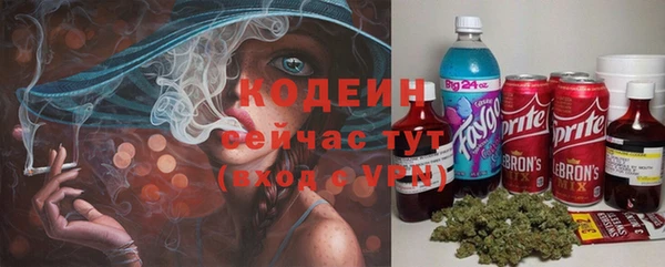 mdpv Протвино