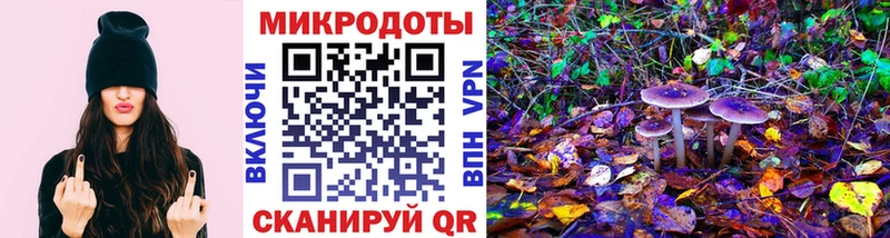 Галлюциногенные грибы Psilocybine cubensis Вятские Поляны